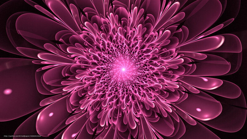 Pink fractal flower bloom
