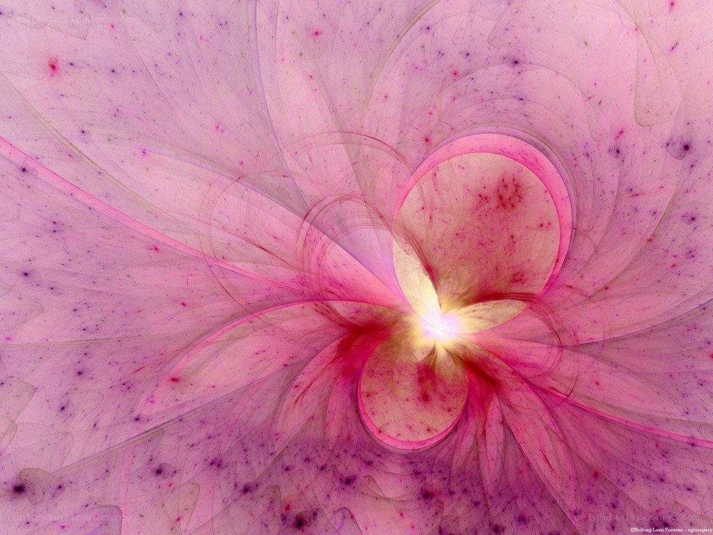 Pink fractal flower design