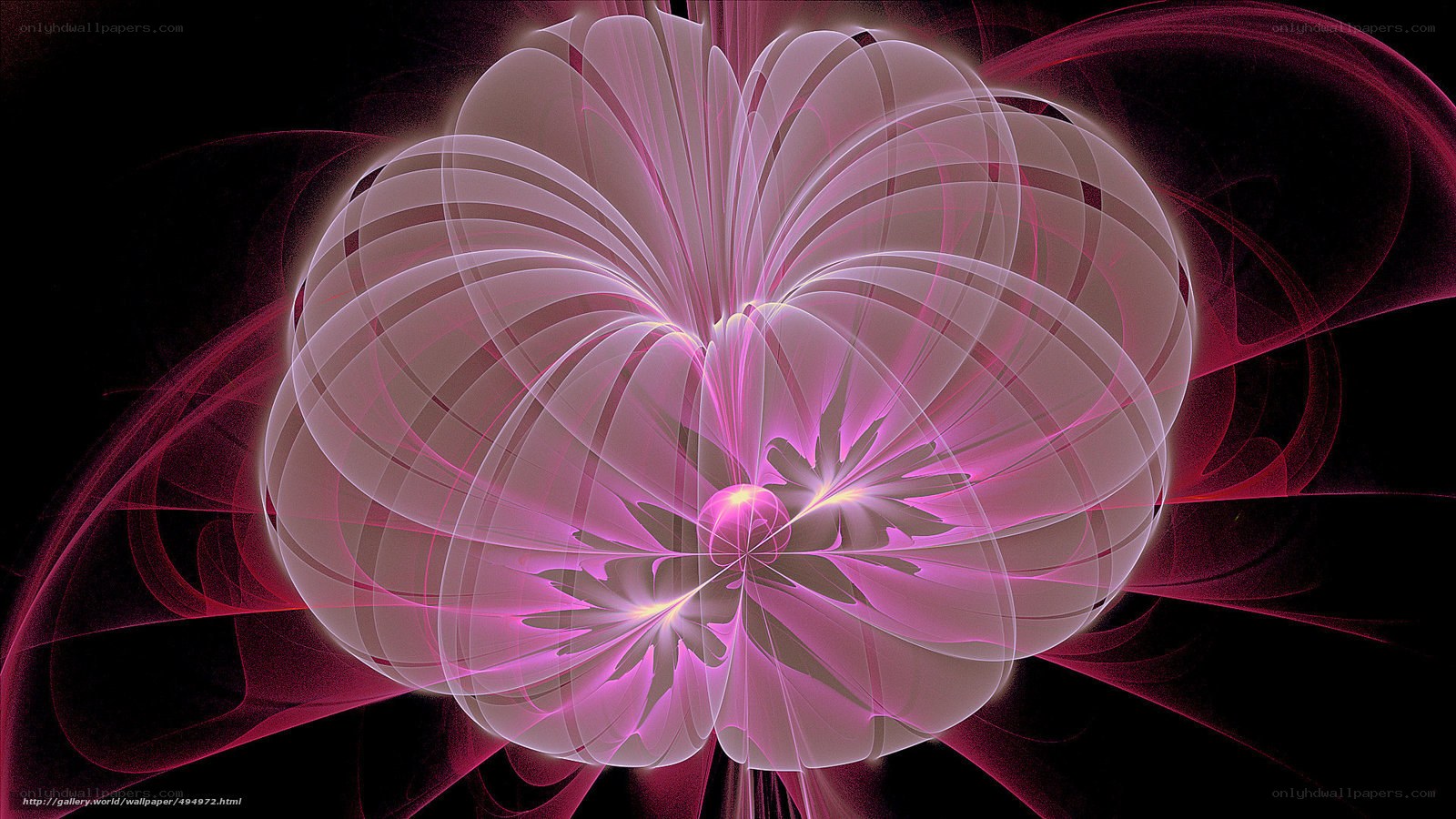 Pink fractal flower design