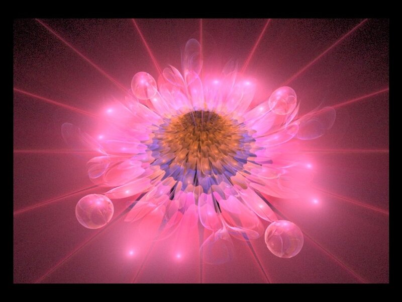 Pink Fractal Flower — Ethereal, Digital Art, Light Rays