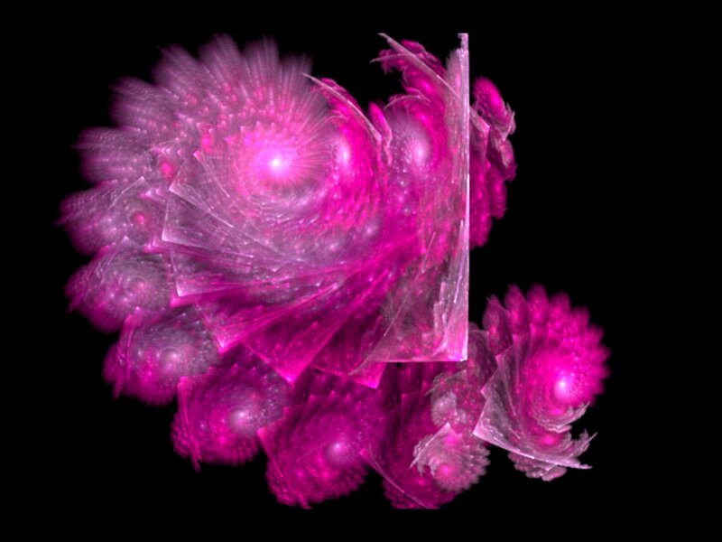 Pink Fractal Flower — Magenta
