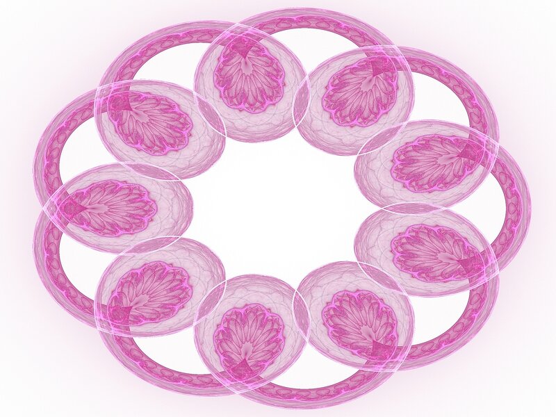Pink Fractal Flower Pattern — Calm