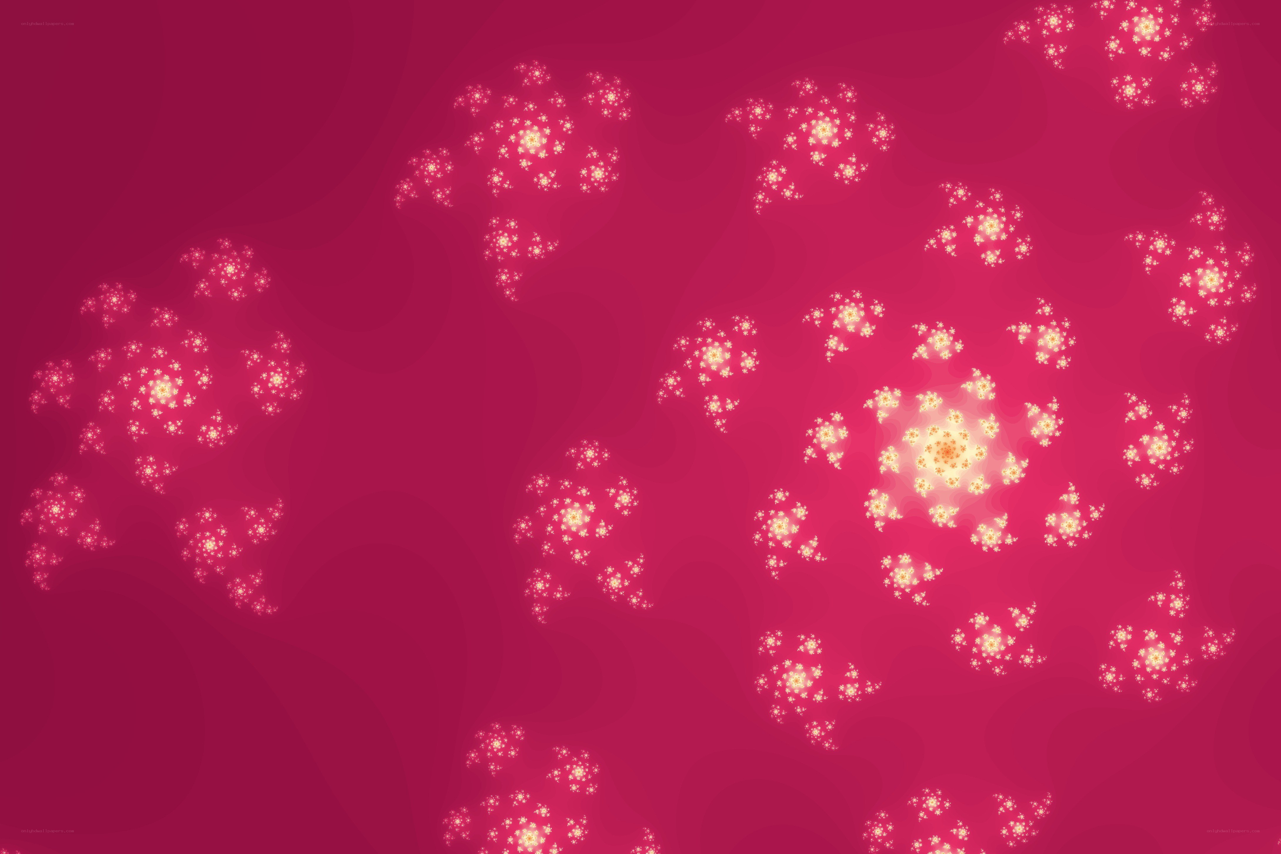 pink fractal flower patterns