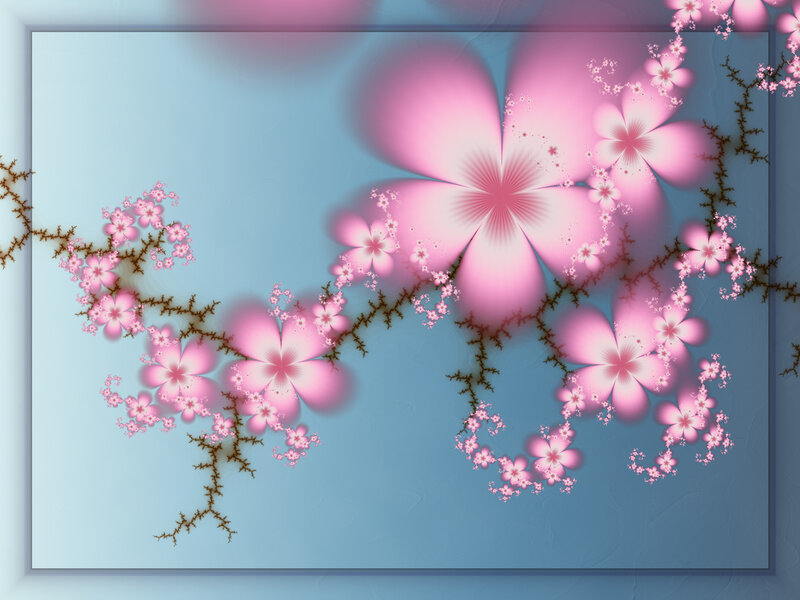 Pink Fractal Flowers — Serene
