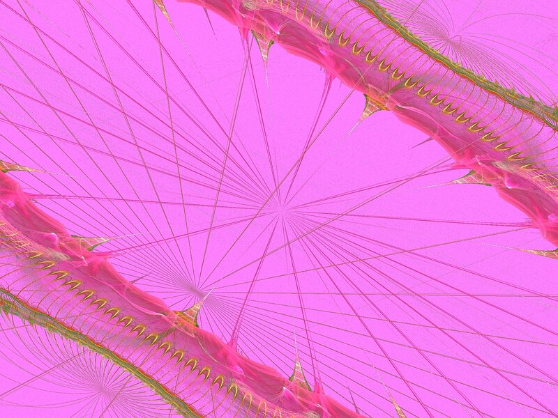 Pink Fractal Patterns — Hypnotic