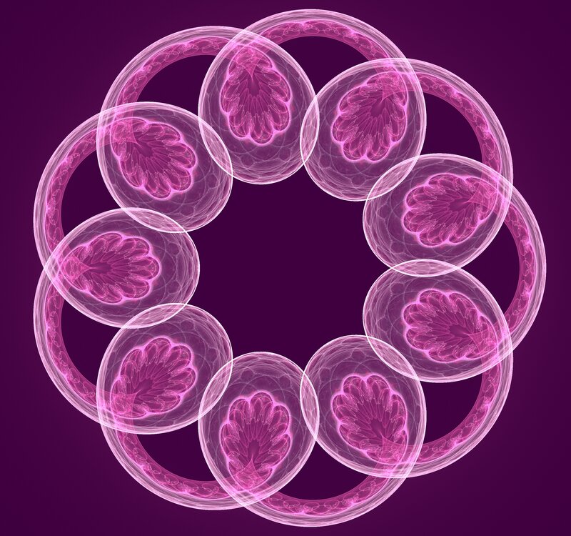 Pink Fractal Rings