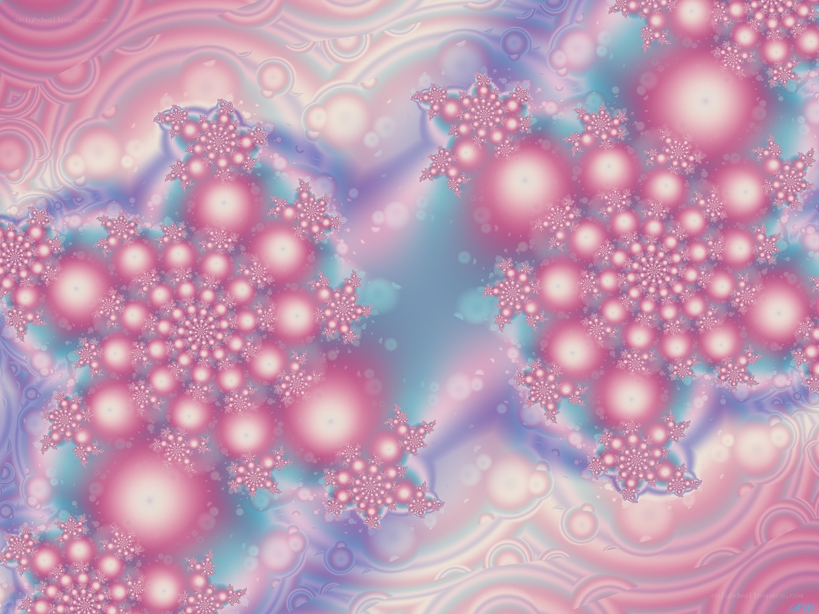 Pink fractal snowflakes
