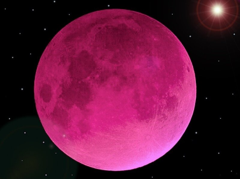 Pink Full Moon