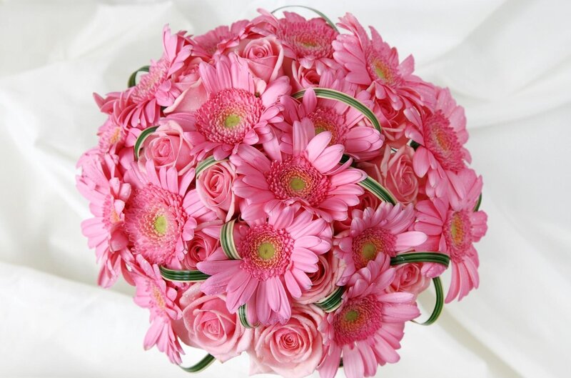 Pink Gerbera and Rose Bouquet — Calm, Photograph, Flowers