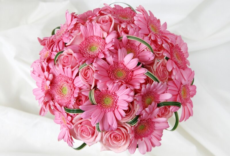Pink Gerbera and Rose Bouquet — Calm
