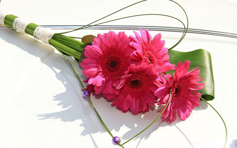 Pink gerbera bouquet