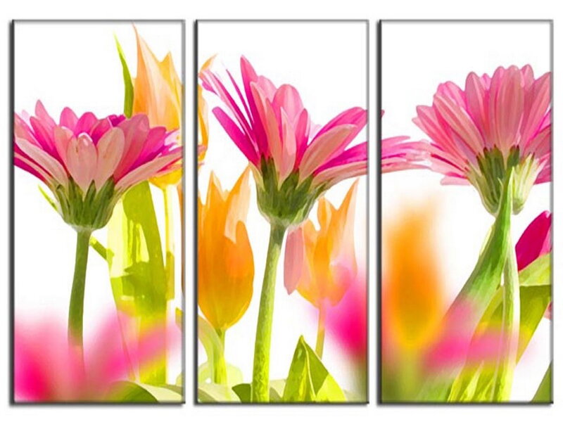 Pink Gerbera Daisies — Bright, Photograph