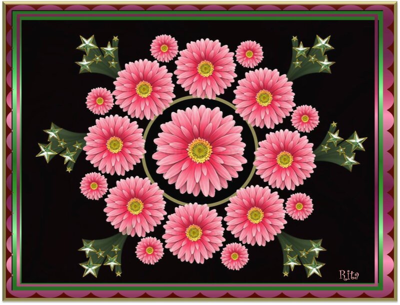 Pink Gerbera Daisies — Festive