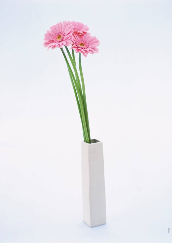 Pink gerbera daisies in a vase