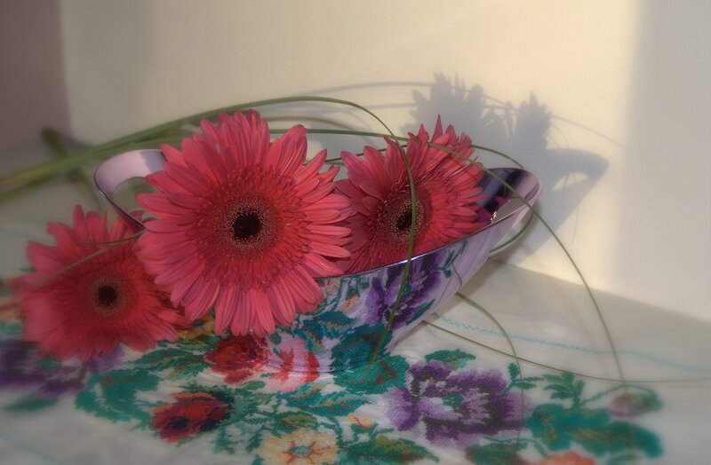 Pink Gerbera Daisies in Bowl