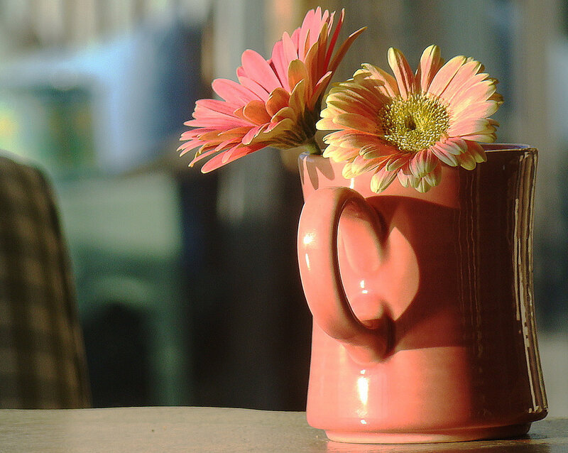 Pink Gerbera Daisies in Mug