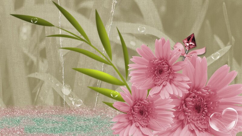Pink Gerbera Daisies — Serene, Digital Art