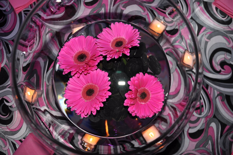 Pink Gerbera Daisies — Serene, Night