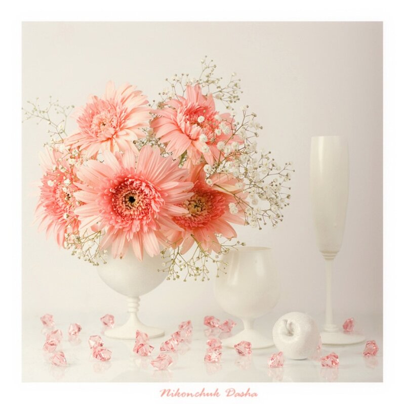 Pink Gerbera Daisies — Serene, Photograph, Baby's Breath