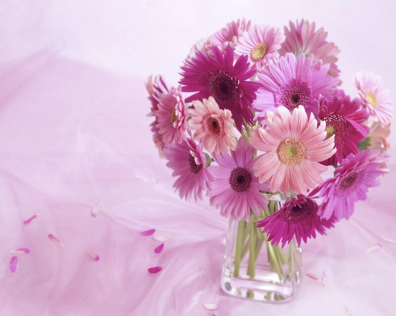 Pink Gerbera Daisies — Serene, Photograph, Vase