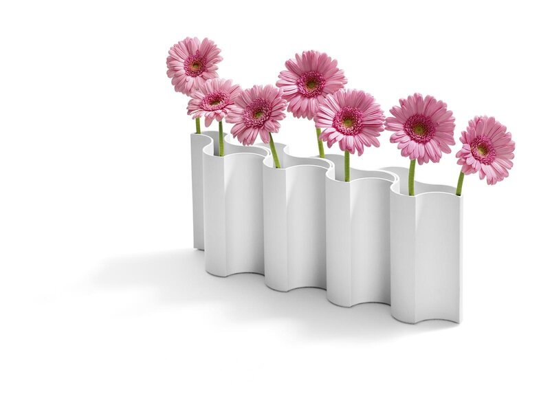 Pink Gerbera Daisies — White, Minimalist