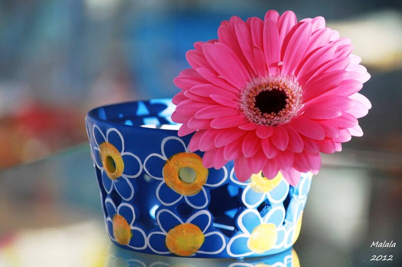 Pink Gerbera Daisy — Calm, Photograph, Blue Vase