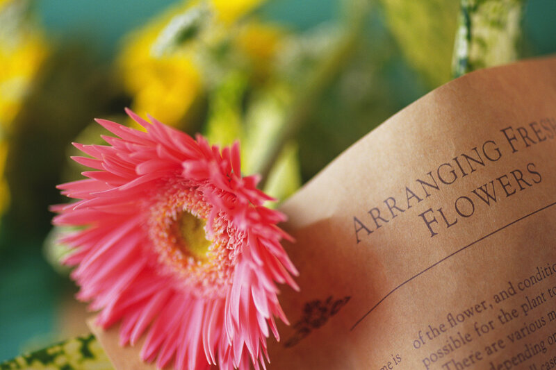 Pink Gerbera Daisy — Calm, Photograph, Flower, Paper