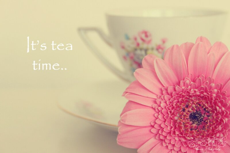 Pink Gerbera Daisy — Calm, Photograph, Teacup