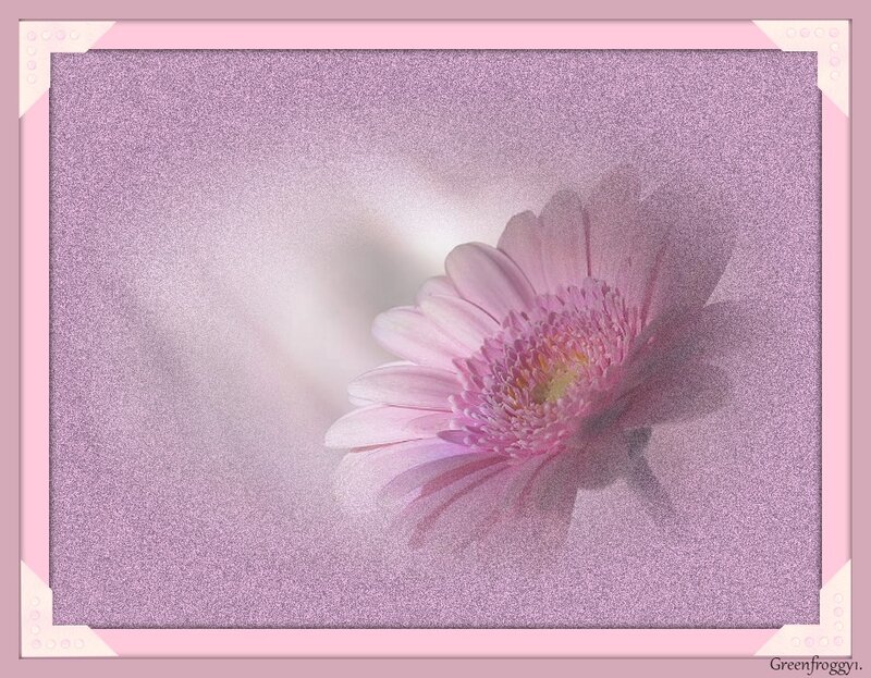 Pink Gerbera Daisy — Serene, Digital Art