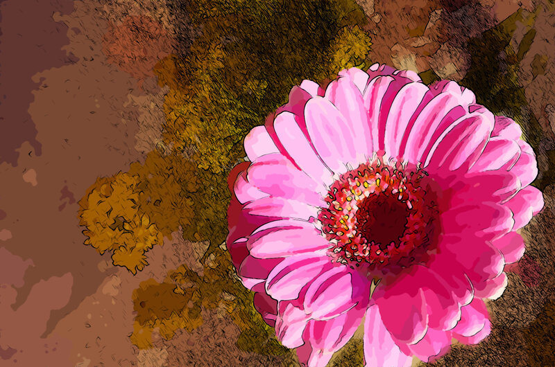 Pink Gerbera Daisy — Vibrant, Digital Art, Flower