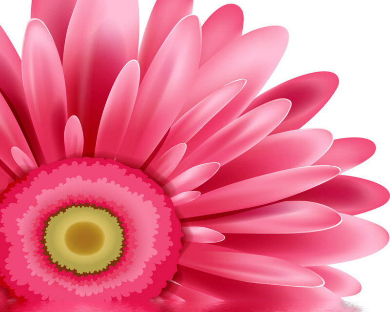 Pink Gerbera Daisy — Vibrant, Digital Art