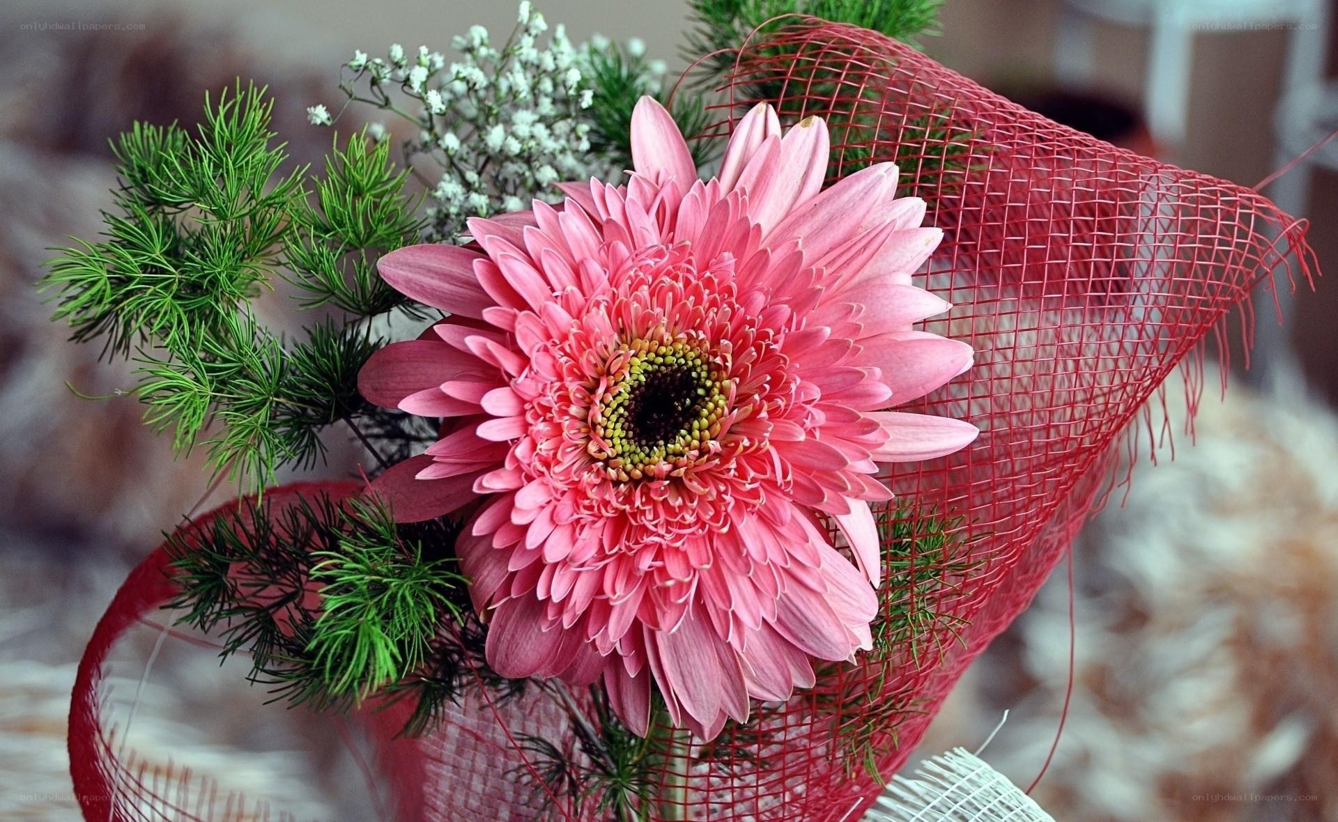 Pink gerbera flower bouquet