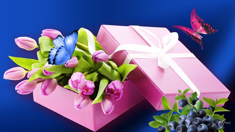 Pink Gift Box with Flowers — Festive