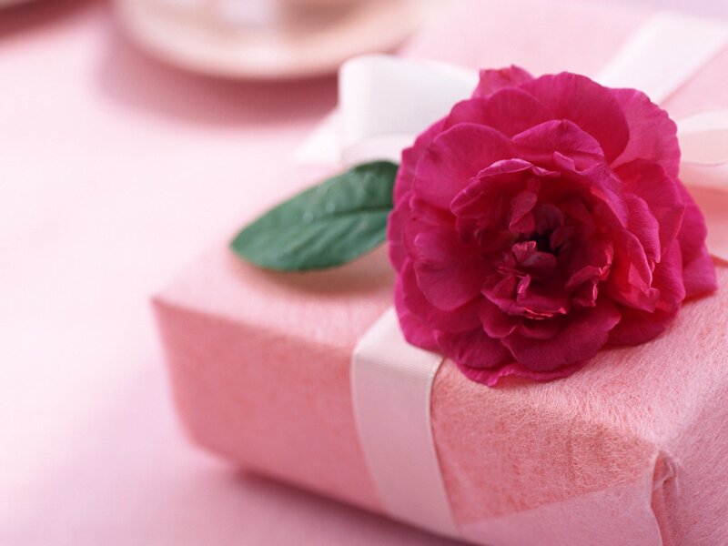 Pink Gift Box with Rose — Calm