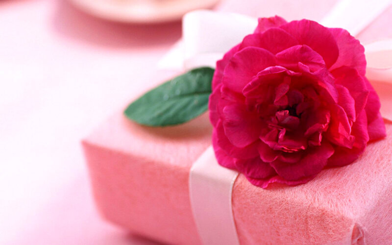 Pink Gift Box with Rose — Romantic, Photograph