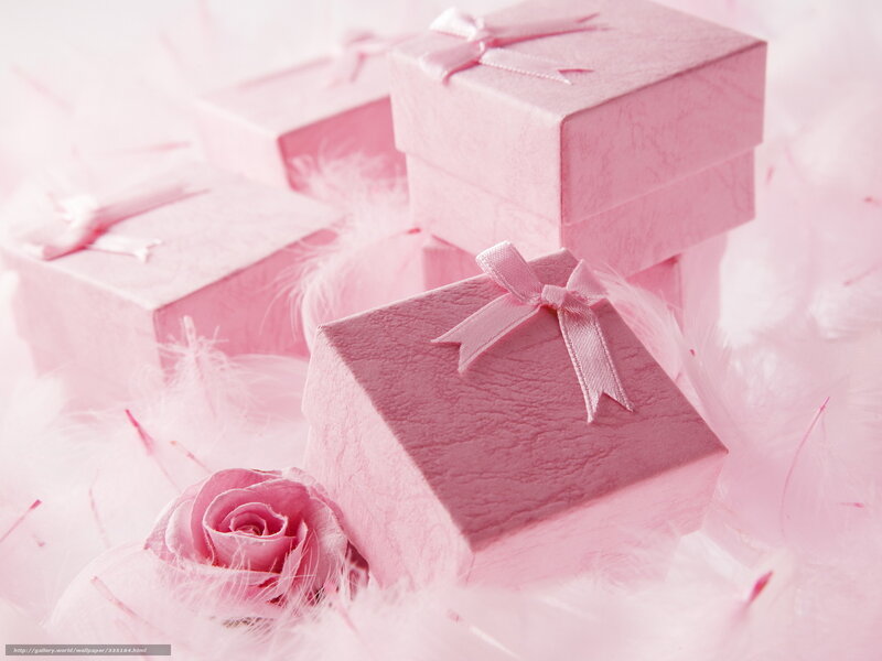 Pink gift boxes with rose