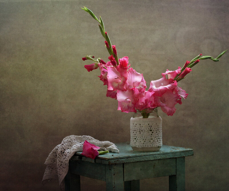 Pink Gladiolas in Vase