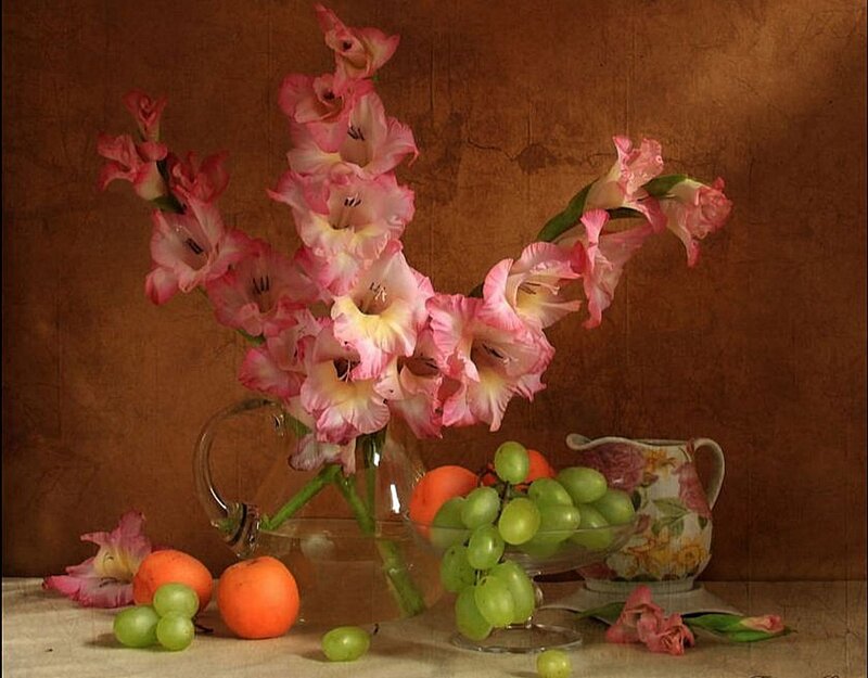 Pink Gladiolus Flowers — Brown