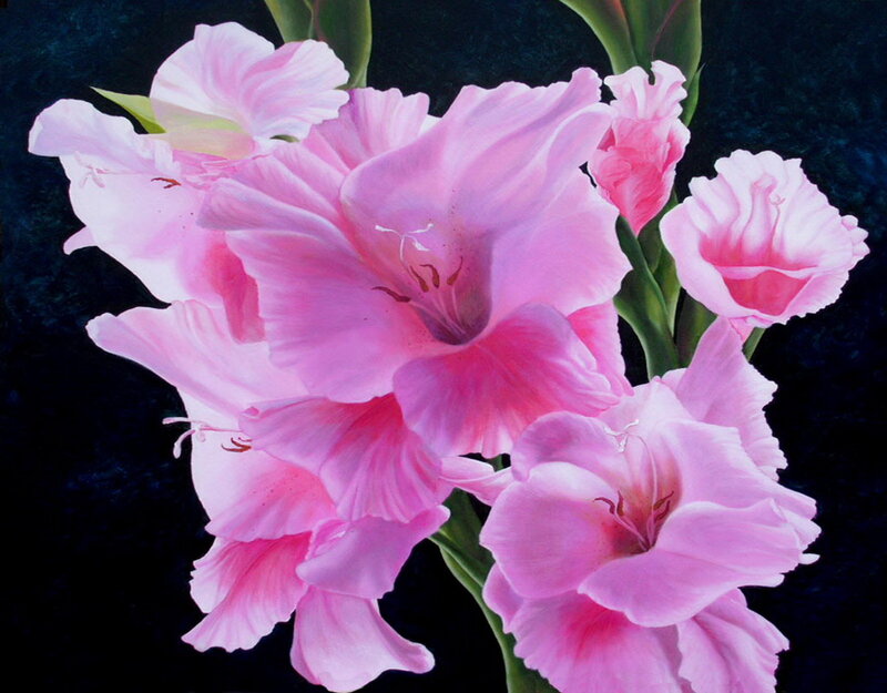 Pink Gladiolus Flowers — Dramatic, Painting