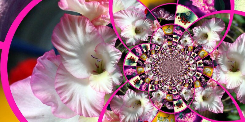 Pink Gladiolus Flowers — Vibrant, Digital Art