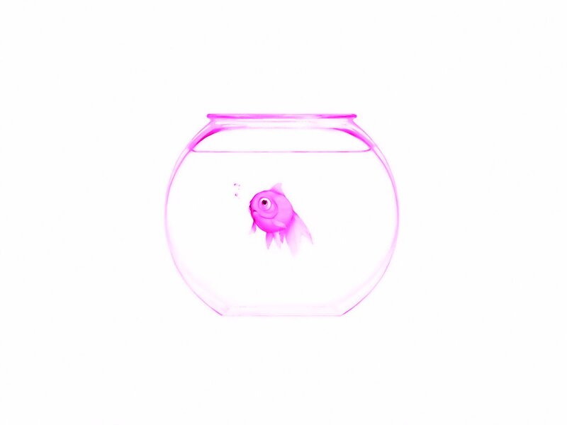 Pink Goldfish in Bowl