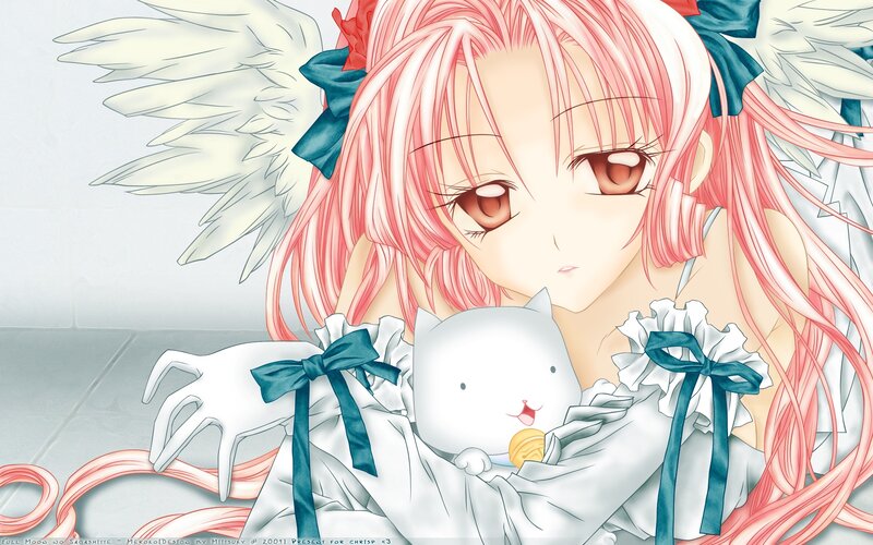 Pink-haired Angel Holding Cat