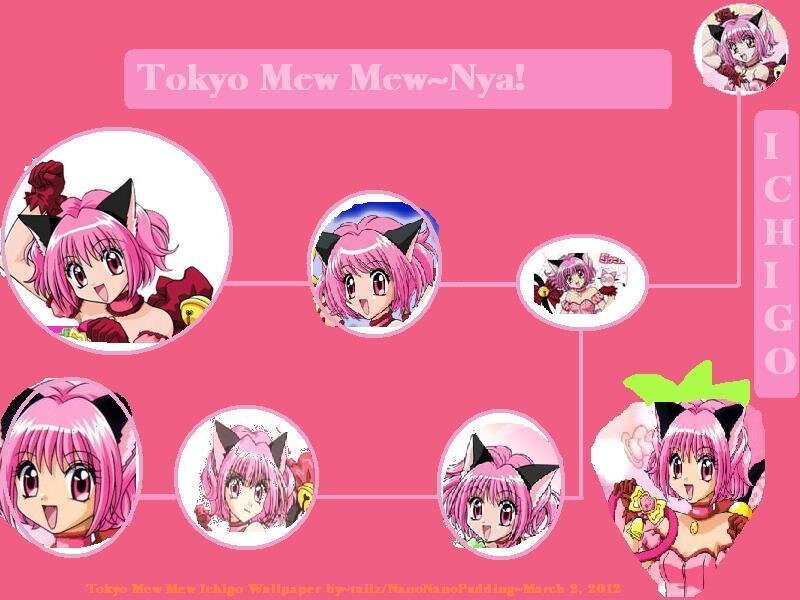Pink-haired Anime Character — Pink, Playful, Cat Ears