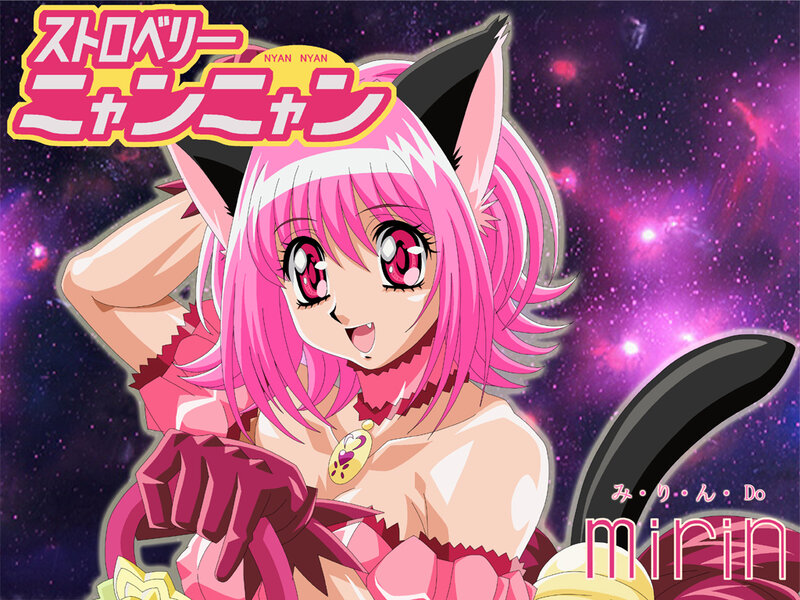 Pink-haired Anime Girl — Pink, Playful, Night, Cat Ears