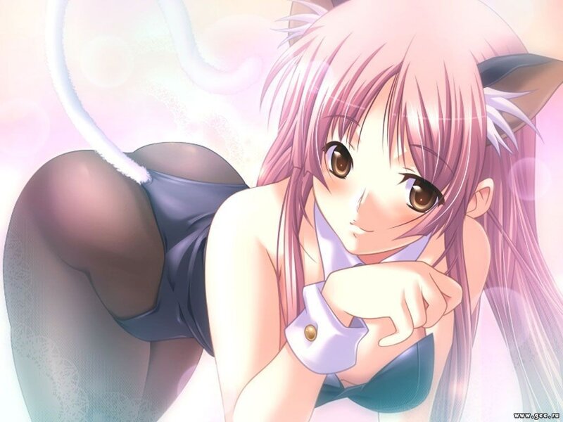 pink-haired anime girl with cat ears