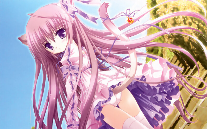 pink-haired anime girl with cat ears