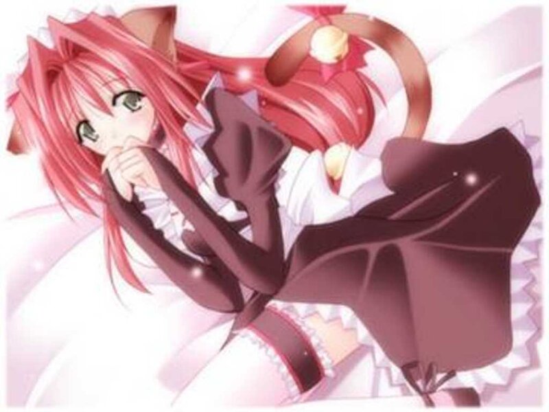 pink-haired anime girl with cat ears