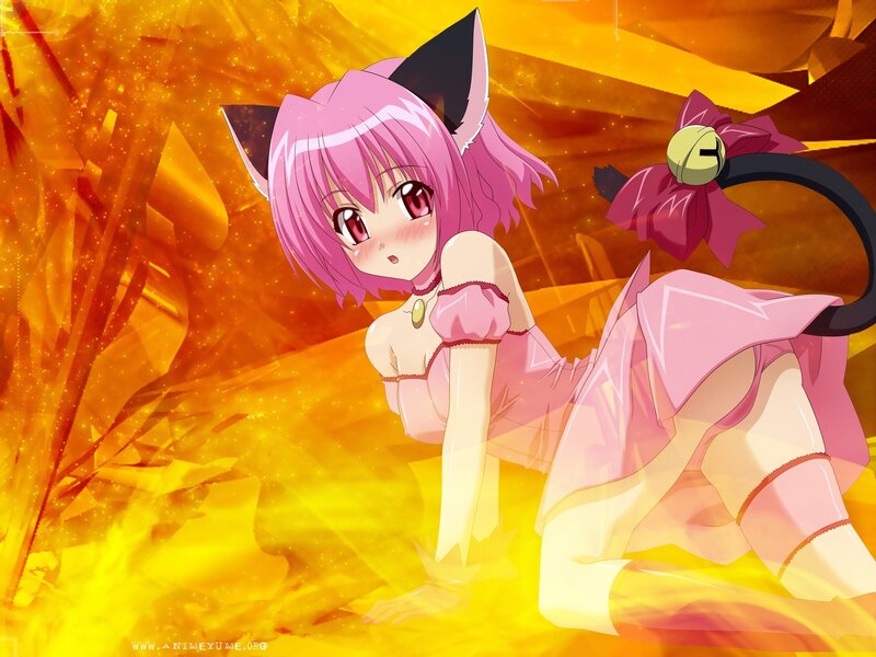 Pink-haired Cat Girl — Pink, Dramatic