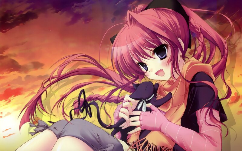 Pink-haired Girl Holding Cat — Pink, Dramatic, Sunset, Anime