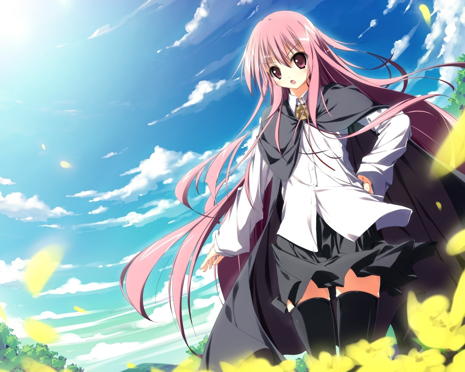pink-haired girl in a field